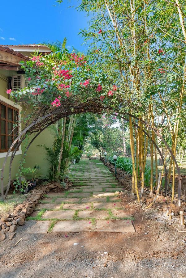 Saffronstays Laburnum House, Wada - Palghar エクステリア 写真